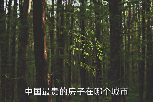 中國(guó)最貴的房子在哪個(gè)城市