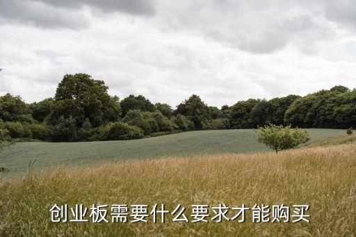  創(chuàng)業(yè)板需要什么要求才能購(gòu)買
