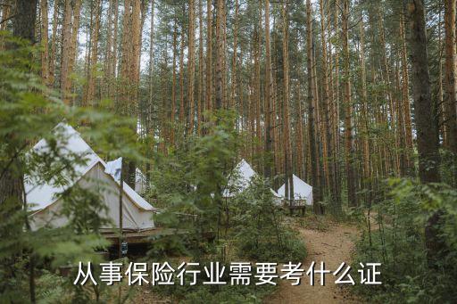 從事保險行業(yè)需要考什么證