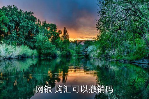 網(wǎng)銀 購(gòu)匯可以撤銷嗎