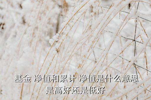  基金 凈值和累計(jì) 凈值是什么意思是高好還是低好