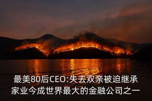 帝國金業(yè)集團(tuán),中鑫金業(yè)集團(tuán)簡(jiǎn)介