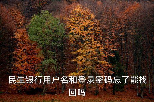  民生銀行用戶名和登錄密碼忘了能找回嗎