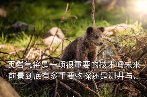  頁巖氣將是一項(xiàng)很重要的技術(shù)嗎未來前景到底有多重要物探還是測井與...