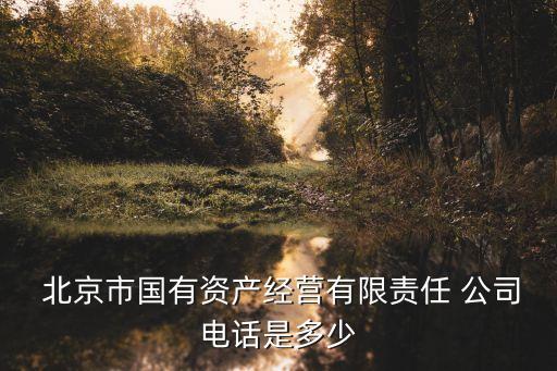  北京市國(guó)有資產(chǎn)經(jīng)營(yíng)有限責(zé)任 公司電話(huà)是多少