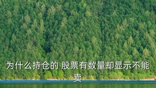 為什么持倉的 股票有數(shù)量卻顯示不能賣