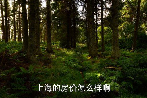 上海的房?jī)r(jià)怎么樣啊