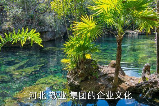 民生河北敬業(yè)集團,河北敬業(yè)集團兒媳婦兒是誰