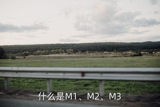 什么是M1、M2、M3