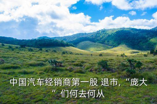中國(guó)汽車(chē)經(jīng)銷(xiāo)商第一股 退市,“龐大”們何去何從
