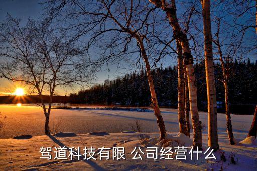 駕道科技有限 公司經(jīng)營什么