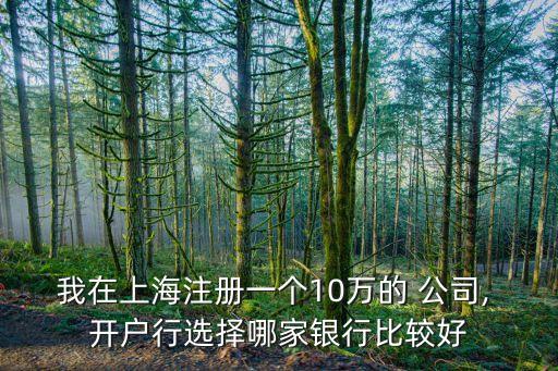 我在上海注冊(cè)一個(gè)10萬(wàn)的 公司, 開(kāi)戶行選擇哪家銀行比較好