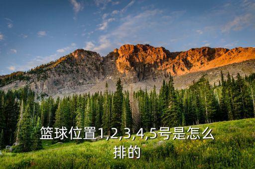 中投集團三號人物
