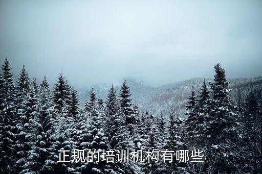 正規(guī)的培訓機構(gòu)有哪些