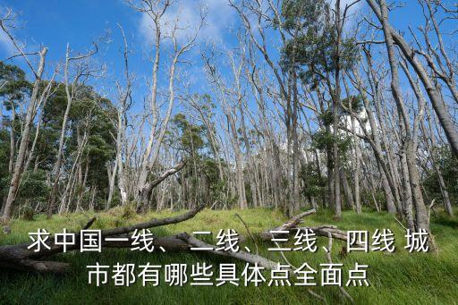 求中國一線、 二線、三線、四線 城市都有哪些具體點全面點