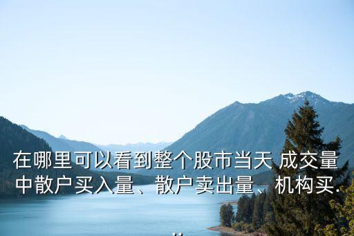 在哪里可以看到整個股市當(dāng)天 成交量中散戶買入量、散戶賣出量、機(jī)構(gòu)買...