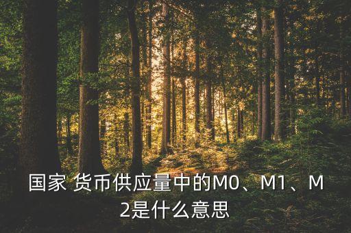 國(guó)家 貨幣供應(yīng)量中的M0、M1、M2是什么意思