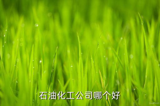 石油化工公司哪個好