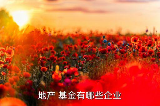 地產 基金有哪些企業(yè)