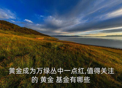  黃金成為萬綠叢中一點紅,值得關注的 黃金 基金有哪些