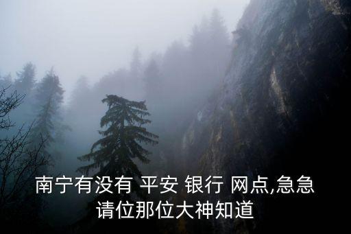 南寧有沒有 平安 銀行 網(wǎng)點(diǎn),急急請(qǐng)位那位大神知道