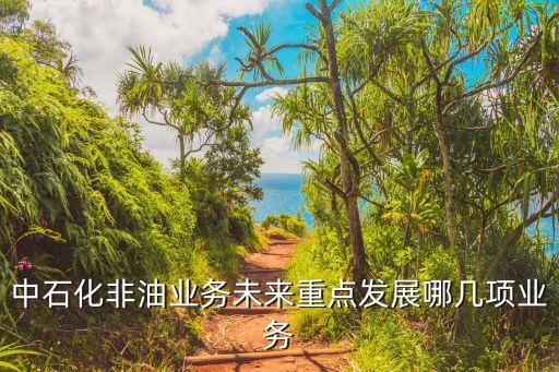 中石化非油業(yè)務(wù)未來(lái)重點(diǎn)發(fā)展哪幾項(xiàng)業(yè)務(wù)