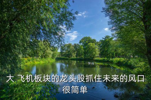 大 飛機板塊的龍頭股抓住未來的風(fēng)口很簡單