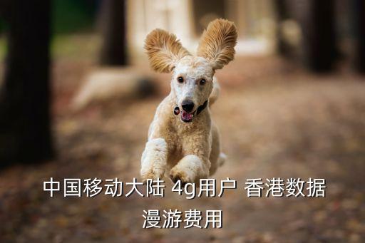  中國移動大陸 4g用戶 香港數(shù)據(jù)漫游費用