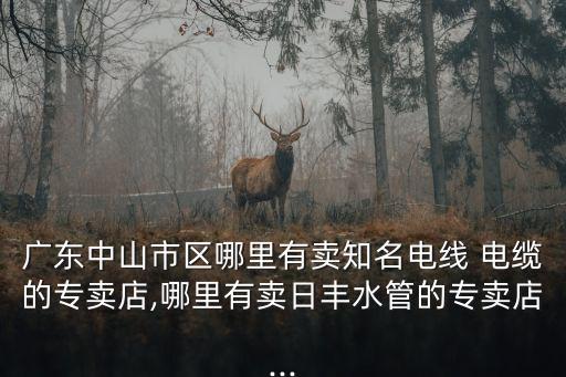 廣東中山市區(qū)哪里有賣(mài)知名電線 電纜的專(zhuān)賣(mài)店,哪里有賣(mài)日豐水管的專(zhuān)賣(mài)店...