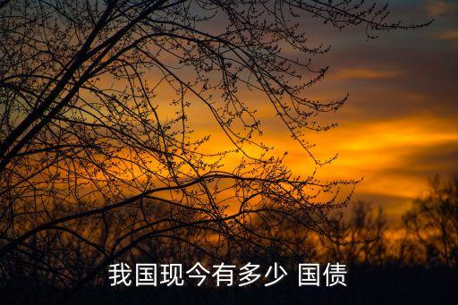我國(guó)現(xiàn)今有多少 國(guó)債