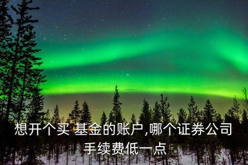 想開(kāi)個(gè)買 基金的賬戶,哪個(gè)證券公司 手續(xù)費(fèi)低一點(diǎn)