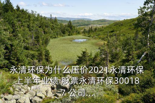永清環(huán)保為什么壓價(jià)2021永清環(huán)保上半年業(yè)績 股票永清環(huán)保300187 公司...