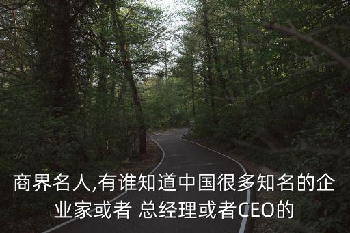 商界名人,有誰(shuí)知道中國(guó)很多知名的企業(yè)家或者 總經(jīng)理或者CEO的