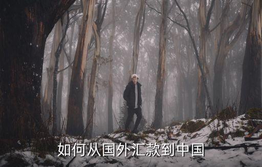 如何從國(guó)外匯款到中國(guó)
