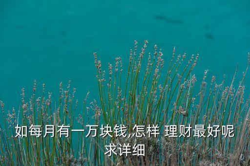 如每月有一萬塊錢,怎樣 理財(cái)最好呢求詳細(xì)