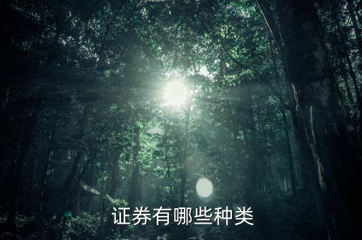 證券公司的分類(lèi)