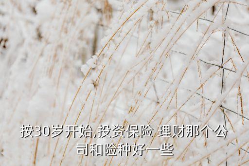 按30歲開(kāi)始,投資保險(xiǎn) 理財(cái)那個(gè)公司和險(xiǎn)種好一些