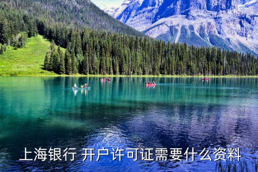  上海銀行 開(kāi)戶許可證需要什么資料