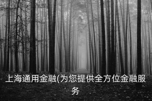 上海通用金融(為您提供全方位金融服務(wù)