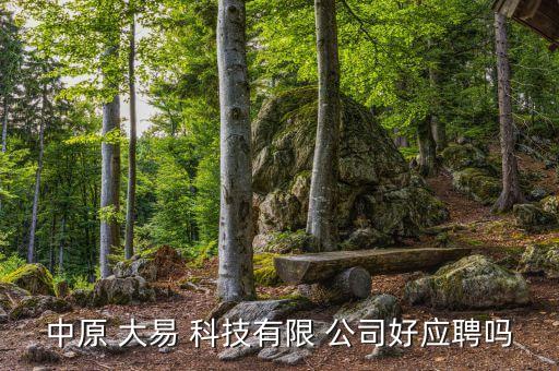 中原 大易 科技有限 公司好應(yīng)聘嗎