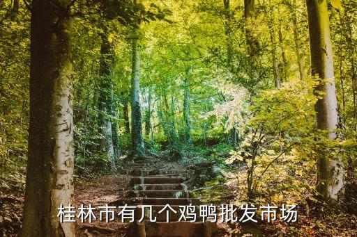 桂林市有幾個(gè)雞鴨批發(fā)市場