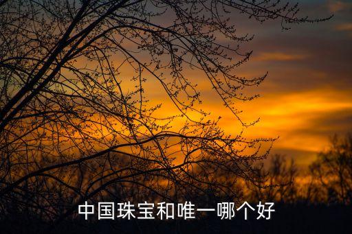 中國(guó)珠寶和唯一哪個(gè)好