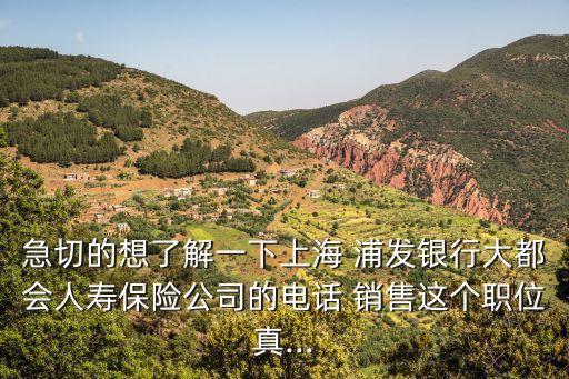 急切的想了解一下上海 浦發(fā)銀行大都會人壽保險(xiǎn)公司的電話 銷售這個(gè)職位真...
