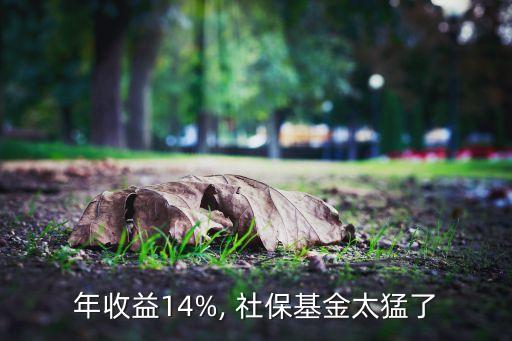 年收益14%, 社?；鹛土? class=