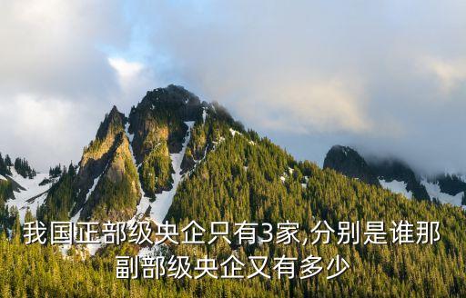我國(guó)正部級(jí)央企只有3家,分別是誰(shuí)那副部級(jí)央企又有多少