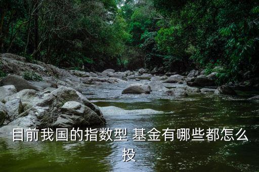 目前我國(guó)的指數(shù)型 基金有哪些都怎么投