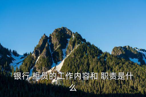 銀行綜合柜員的職責范圍,銀行個人客戶經理職責范圍