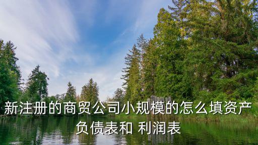新注冊的商貿(mào)公司小規(guī)模的怎么填資產(chǎn)負債表和 利潤表