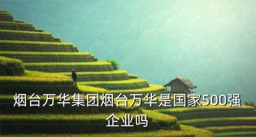 煙臺(tái)萬(wàn)華集團(tuán)煙臺(tái)萬(wàn)華是國(guó)家500強(qiáng)企業(yè)嗎