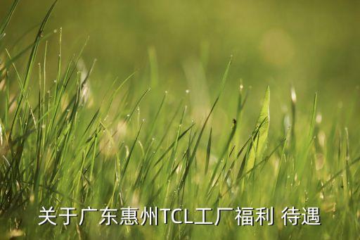 關于廣東惠州TCL工廠福利 待遇